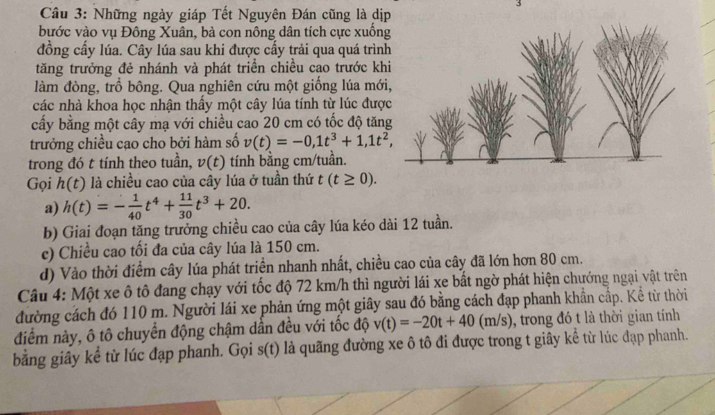 Những ngày giáp Tết Nguyên Đán cũng là dịp
bước vào vụ Đông Xuân, bà con nông dân tích cực xuốn
đồng cấy lúa. Cây lúa sau khi được cấy trải qua quá trìn
tăng trưởng đẻ nhánh và phát triển chiều cao trước kh
làm đòng, trỗ bông. Qua nghiên cứu một giống lúa mớ
các nhà khoa học nhận thấy một cây lúa tính từ lúc đượ
cấy bằng một cây mạ với chiều cao 20 cm có tốc độ tăn
trưởng chiều cạo cho bởi hàm số v(t)=-0,1t^3+1,1t^2,
trong đó t tính theo tuần, v(t) tính bằng cm/tuần.
Gọi h(t) là chiều cao của cây lúa ở tuần thứ t(t≥ 0).
a) h(t)=- 1/40 t^4+ 11/30 t^3+20.
b) Giai đoạn tăng trưởng chiều cao của cây lúa kéo dài 12 tuần.
c) Chiều cao tối đa của cây lúa là 150 cm.
d) Vào thời điểm cây lúa phát triển nhanh nhất, chiều cao của cây đã lớn hơn 80 cm.
Câu 4: Một xe ô tô đang chạy với tốc độ 72 km/h thì người lái xe bất ngờ phát hiện chướng ngại vật trên
đường cách đó 110 m. Người lái xe phản ứng một giây sau đó bằng cách đạp phanh khẩn cấp. Kể từ thời
điểm này, ô tô chuyển động chậm dần đều với tốc độ v(t)=-20t+40(m/s) , trong đó t là thời gian tính
bằng giây kể từ lúc đạp phanh. Gọi s(t) là quãng đường xe ô tô đi được trong t giây kể từ lúc đạp phanh.