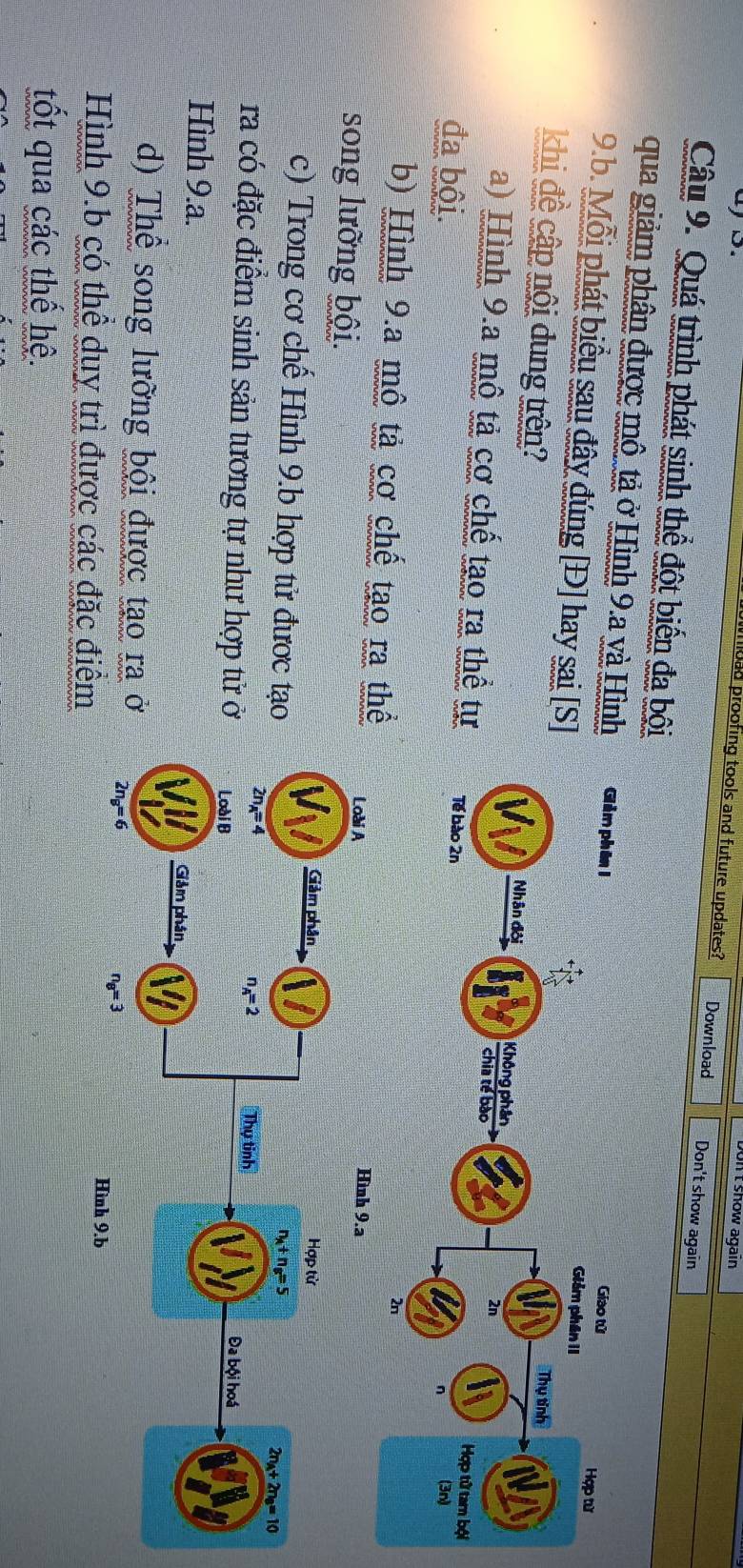 bon I show again
Moad proofing tools and future updates? Download Don't show again
Câu 9. Quá trình phát sinh thể đột biến đa bội
qua giảm phân được mô tả ở Hình 9.a và Hình Giảm phân I Giảm phân II
Giao tử Hợp từ
9.b. Mỗi phát biểu sau đây đúng [Đ] hay sai [S]
Thụ tính
khi đề cập nội dung trên? Không phân chia tế bào
Nhân đội
2n
a) Hình 9.a mô tả cơ chế tạo ra thể tự Tế bào 2n
Hợp tử tam bội
đa bội. (3n)
n
2n
b) Hình 9.a mô tả cơ chế tạo ra thể
song lưỡng bội.
c) Trong cơ chế Hình 9.b hợp tử được tạ
ra có đặc điểm sinh sản tương tự như hợp tử 
Hình 9.a.
d) Thể song lưỡng bội được tạo ra 
Hình 9.b có thể duy trì được các đặc điểm
tốt qua các thế hệ.