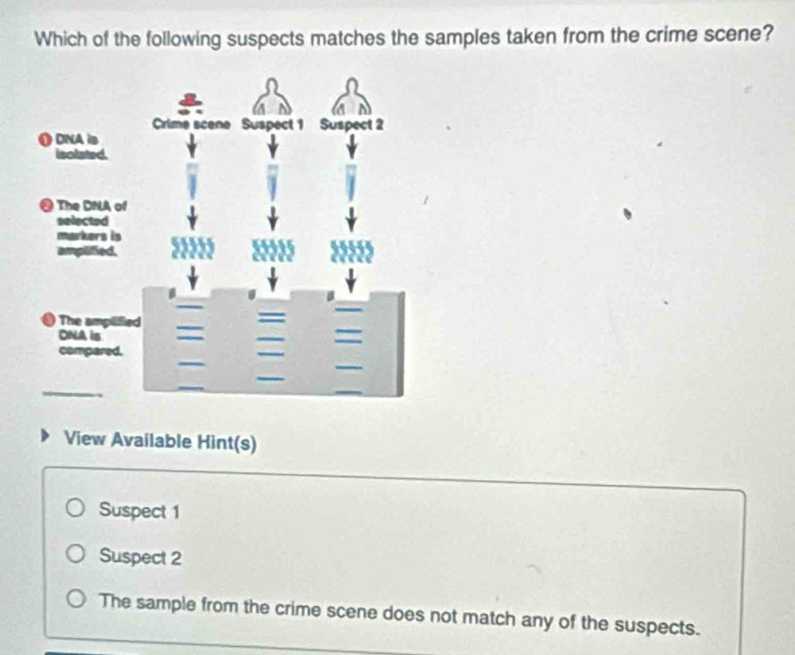 Solved: Which of the following suspects matches the samples taken from ...