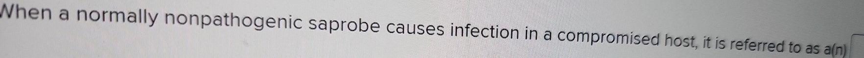 When a normally nonpathogenic saprobe causes infection in a compromised host, it is referred to as a(n)