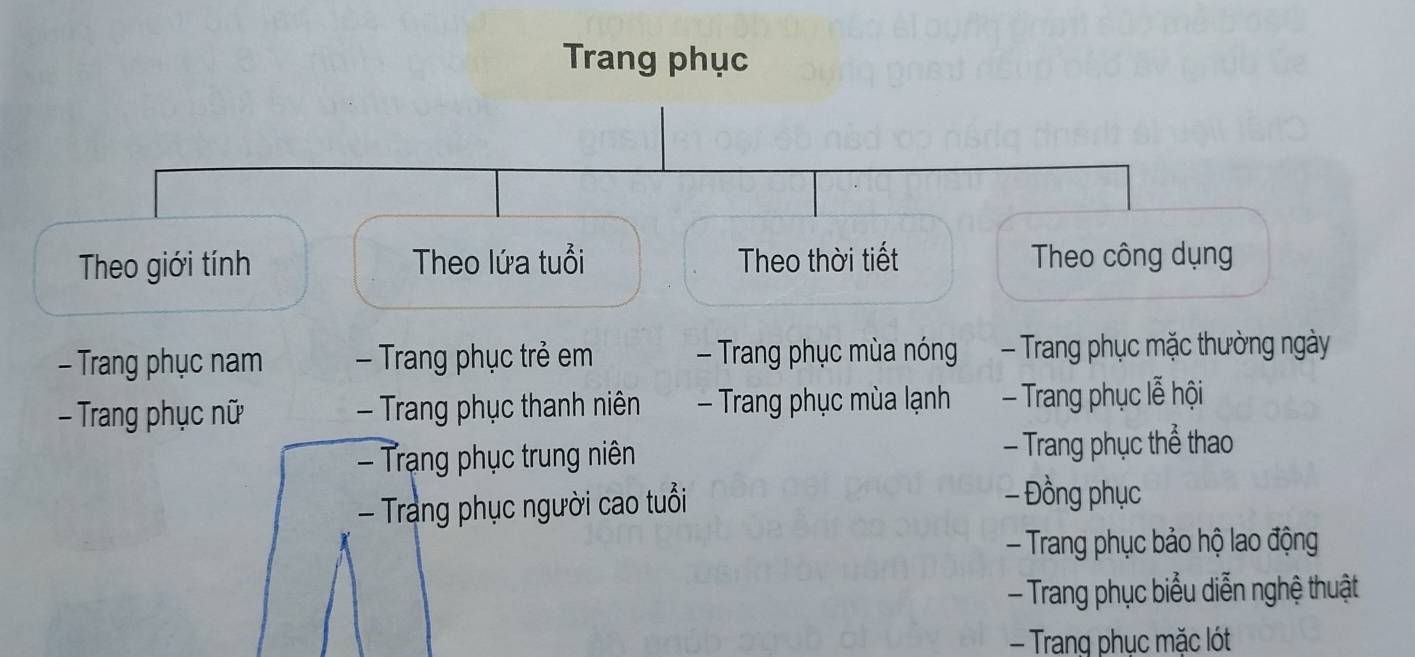 Trang phục 
Theo giới tính Theo lứa tuổi Theo thời tiết Theo công dụng 
- Trang phục nam - Trang phục trẻ em - Trang phục mùa nóng - Trang phục mặc thường ngày 
- Trang phục nữ - Trang phục thanh niên - Trang phục mùa lạnh - Trang phục lễ hội 
- Trạng phục trung niên - Trang phục thể thao 
Trang phục người cao tuổi 
- Đồng phục 
- Trang phục bảo hộ lao động 
- Trang phục biểu diễn nghệ thuật 
Trang phục mặc lót