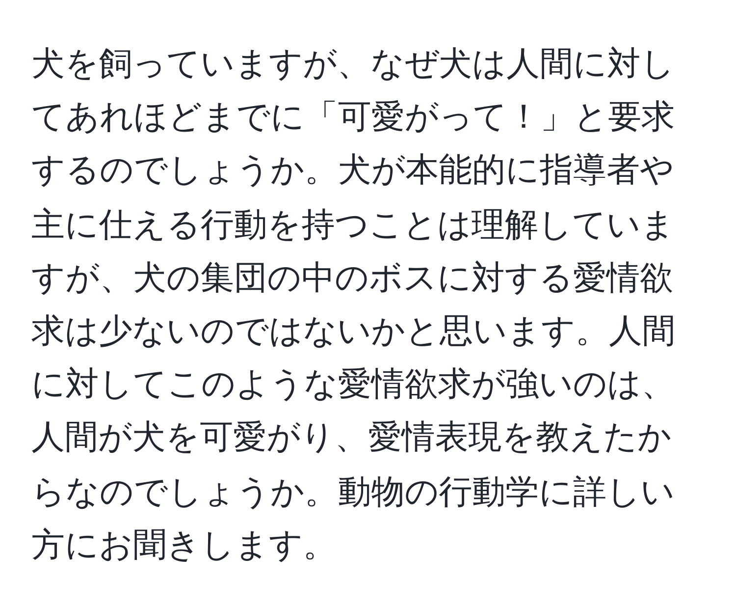 犬を飼っていますが、なぜ犬は人間に対してあれほどまでに「可愛がって！」と要求するのでしょうか。犬が本能的に指導者や主に仕える行動を持つことは理解していますが、犬の集団の中のボスに対する愛情欲求は少ないのではないかと思います。人間に対してこのような愛情欲求が強いのは、人間が犬を可愛がり、愛情表現を教えたからなのでしょうか。動物の行動学に詳しい方にお聞きします。