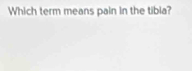 Which term means pain in the tibia?