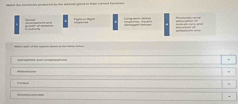 Match the hormones produced by the adrenal gland to their correct functions.
Sexual Long-term stress Promotes renal
development and 2 Fight-or-flight
response 3 response, repairs absorption of
1 growth of skeletan damaged tissues 4 5odium (ons and
in puberly excretion of
potassium Ions
Match each of the options above to the items below.
Epinephrine and norepinephrine
Aldosterone
Cartisol
Gonadocorticoids