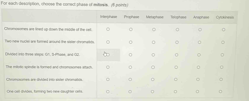 For each description, choose the correct phase of mitosis. (6 points)