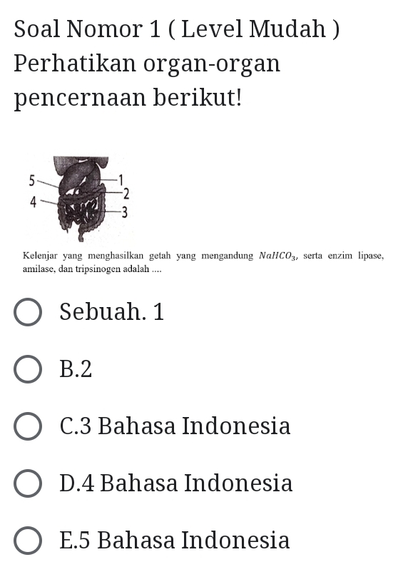 Soal Nomor 1 ( Level Mudah )
Perhatikan organ-organ
pencernaan berikut!
Kelenjar yang menghasilkan getah yang mengandung NaHCO_3 , serta enzim lipase,
amilase, dan tripsinogen adalah ....
Sebuah. 1
B. 2
C. 3 Bahasa Indonesia
D. 4 Bahasa Indonesia
E. 5 Bahasa Indonesia