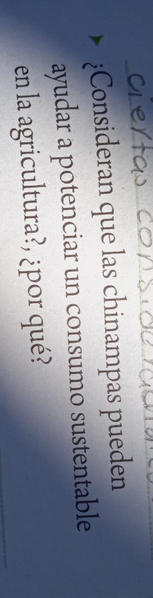 Consideran que las chinampas pueden 
ayudar a potenciar un consumo sustentable 
en la agricultura?, ¿por qué?