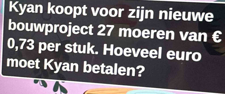 Kyan koopt voor zijn nieuwe 
bouwproject 27 moeren van €
0,73 per stuk. Hoeveel euro 
moet Kyan betalen?