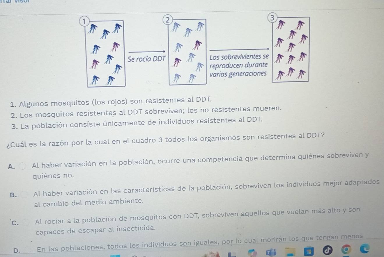 1
2
3
Se rocía DDT Los sobrevivientes se
reproducen durante
varias generaciones
1. Algunos mosquitos (los rojos) son resistentes al DDT.
2. Los mosquitos resistentes al DDT sobreviven; los no resistentes mueren.
3. La población consíste únicamente de individuos resistentes al DDT.
¿Cuál es la razón por la cual en el cuadro 3 todos los organismos son resistentes al DDT?
A. Al haber variación en la población, ocurre una competencia que determina quiénes sobreviven y
quiénes no.
B. Al haber variación en las características de la población, sobreviven los individuos mejor adaptados
al cambio del medio ambiente.
C. Al rociar a la población de mosquitos con DDT, sobreviven aquellos que vuelan más alto y son
capaces de escapar al insecticida.
D. En las poblaciones, todos los individuos son iguales, por lo cual morirán los que tengan menos