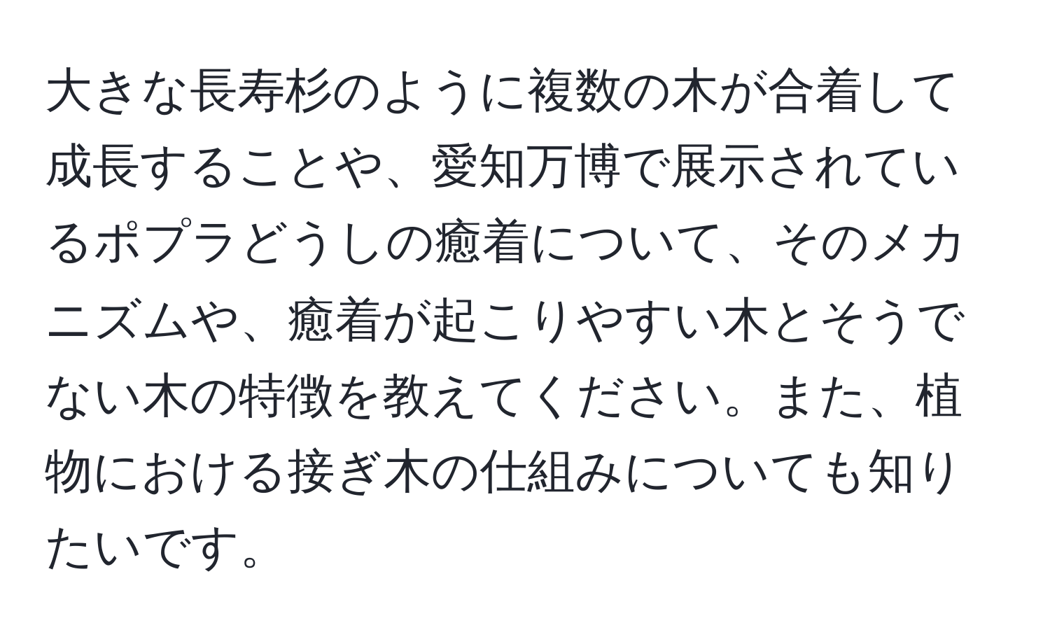 大きな長寿杉のように複数の木が合着して成長することや、愛知万博で展示されているポプラどうしの癒着について、そのメカニズムや、癒着が起こりやすい木とそうでない木の特徴を教えてください。また、植物における接ぎ木の仕組みについても知りたいです。