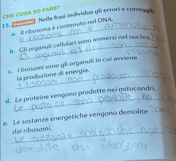 CHE COSA SO FARE?
15. AciONo Nelle frasi individua gli errori e correggili.
a. Il ribosoma è contenuto nel DNA.
b. Gli organuli cellulari sono immersi nel nucleo.
c. I lisosomi sono gli organuli in cui avviene
_la produzione di energia.
_
d. Le proteine vengono prodotte nei mitocondri.
e. Le sostanze energetiche vengono demolite
_dai ribosomi.