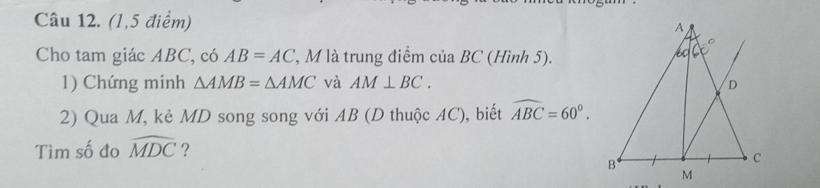 (1,5 điểm)
Cho tam giác ABC, có AB=AC l, M là trung điểm của BC (Hình 5).
1) Chứng minh △ AMB=△ AMC và AM⊥ BC.
2) Qua M, kẻ MD song song với AB (D thuộc AC), biết widehat ABC=60°.
Tìm số đo widehat MDC ？