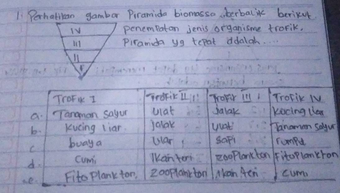 1i Perhatikan gambar Piramida biomassa sterbalik berikut 
IV penempatan jenis organisme trorik, 
li1 Piramda y9 tepat ddalah. 
l1 
n