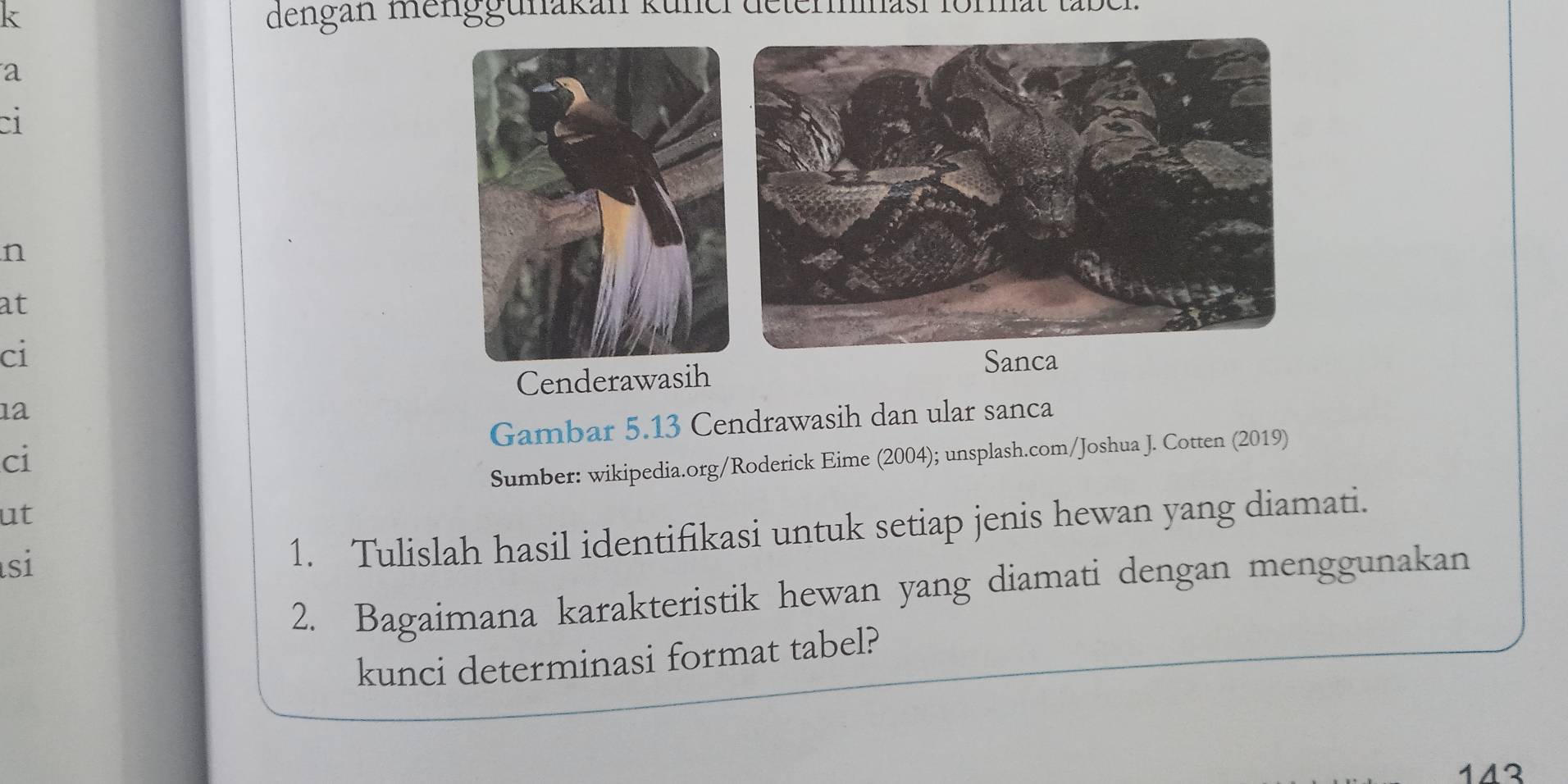 dengan menggunakan küner determnasi format tabel. 
a 
n 
at 
ci 
Cenderawasih 
Sanca 
1a 
ci Gambar 5.13 Cendrawasih dan ular sanca 
Sumber: wikipedia.org/Roderick Eime (2004); unsplash.com/Joshua J. Cotten (2019) 
ut 
si 
1. Tulislah hasil identifikasi untuk setiap jenis hewan yang diamati. 
2. Bagaimana karakteristik hewan yang diamati dengan menggunakan 
kunci determinasi format tabel? 
143