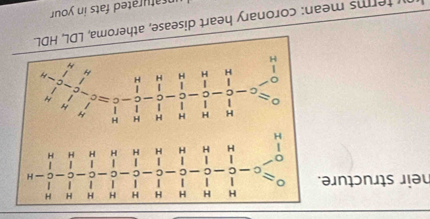 x o 
déuo1os uésu su