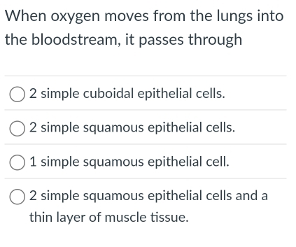 When oxygen moves from the lungs into
the bloodstream, it passes through
2 simple cuboidal epithelial cells.
2 simple squamous epithelial cells.
1 simple squamous epithelial cell.
2 simple squamous epithelial cells and a
thin layer of muscle tissue.