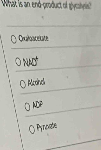 What is an end-product of glycolysis "
Oxaloacetate
O NAD
Alcohol
ADP
Pyruvate