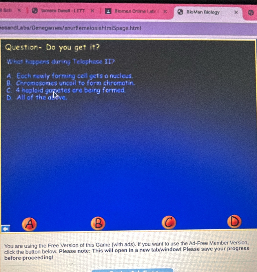 üch inmora Datell ·LETT foman Oniine L ab: ! BloMan Biology ×
nesandLabs/Genegames/snurflemeiosishtmiSpage.html
Question- Do you get it?
What happens during Telophase II?
A. Each newly forming cell gcts a nucleus.
B. Chromosomes uncoil to form chromatin.
C. 4 haploid gametes are being formed.
D All of the a(sqrt(3)) vC.
a
B
You are using the Free Version of this Game (with ads). If you want to use the Ad-Free Member Version,
click the button below. Please note: This will open in a new tab/window! Please save your progress
before proceeding!