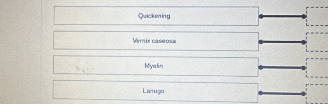 Quickening 
Vernix caseosa 
Myelin 
Lanugo