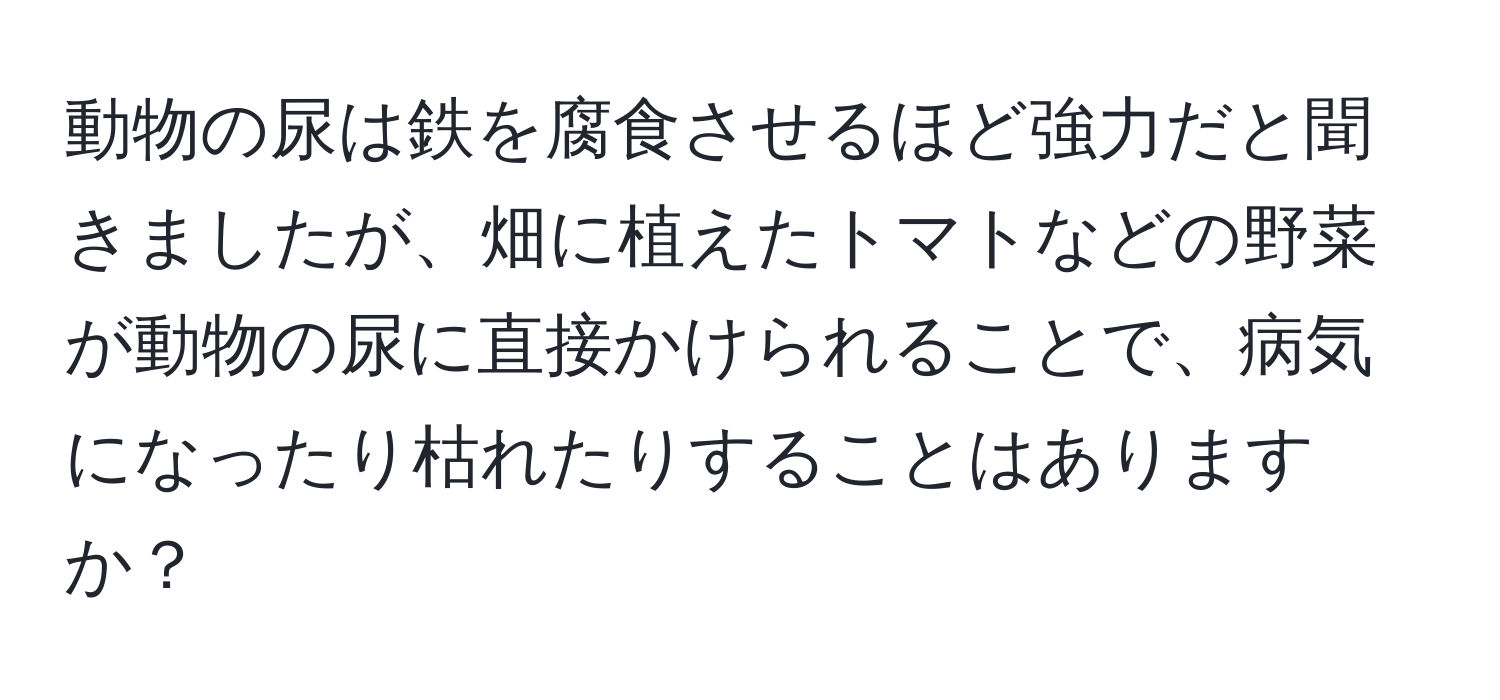 動物の尿は鉄を腐食させるほど強力だと聞きましたが、畑に植えたトマトなどの野菜が動物の尿に直接かけられることで、病気になったり枯れたりすることはありますか？