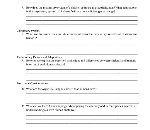 How does the respiratory system of a chicken compare to that of a human? What adaptations 
in the respiratory system of chickens facilitate their efficient gas exchange? 
_ 
_ 
_ 
_ 
Circulatory System: 
8. What are the similarities and differences between the circulatory systems of chickens and 
humans? 
_ 
_ 
_ 
_ 
Evolutionary Factors and Adaptations 
9. How can we explain the observed similarities and differences between chickens and humans 
in terms of evolutionary history? 
_ 
_ 
_ 
_ 
Functional Considerations: 
10. What are the organs missing in chicken that humans have? 
_ 
_ 
_ 
_ 
11. What can we learn from studying and comparing the anatomy of different species in terms of 
understanding our own human anatomy? 
_ 
_ 
_ 
_