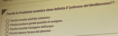 Risolto:res Perché la Posidonia oceanica viene definita il 'polmone del ...