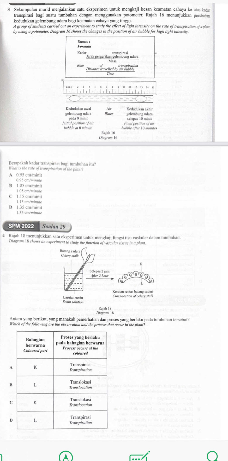 Sekumpulan murid menjalankan satu eksperimen untuk mengkaji kesan keamatan cahaya ke atas kadan
transpirasi bagi suatu tumbuhan dengan menggunakan potometer. Rajah 16 menunjukkan perubahan
kedudukan gelembung udara bagi keamatan cahaya yang tinggi.
A group of students carried out an experiment to study the effect of light intensity on the rate of transpiration of a plant
by using a potometer. Diagram 16 shows the changes in the position of air bubble for high light intensity.
Rumus :
Formula
Kadar transpirasi
Jarak pergerakan gelembung udara
Rate
Distance travelled by cn spiration
Time

Kedudukan awal Air Kedudukan akhir
gelembung udara Water gelembung udara
pada 0 minit selepas 10 minit
Initial position of air Final position of air
bubble at 0 minute bubble after 10 minutes
Rajah 16
Diagram 16
Berapakah kadar transpirasi bagi tumbuhan itu?
What is the rate of transpiration of the plant?
A 0.95 cm/minit
0.95 cr/minute
B 1.05 cm/minit
1.05 cm/minute
C 1.15 cm/minit
1.15 cm/minuté
D 1.35 cm/minit
1.35 cm/minute
SPM 2022 Soalan 29
4 Rajah 18 menunjukkan satu eksperimen untuk mengkaji fungsi tisu vaskular dalam tumbuhan.
Diagram 18 shows an experiment to study the function of vascular tissue in a plant.
Batang saderi
Celery stalk
K
Selepas 2 jam
After 2 hour
Larutan cosin Cross-section of celery stalk
Eosin solution
Rajah 18
Diagram 18
Antara yang berikut, yang manakah pemerhatian dan proses yang berlaku pada tumbuhan tersebut?
Which of the following are the observation and the process that occur in the plant?