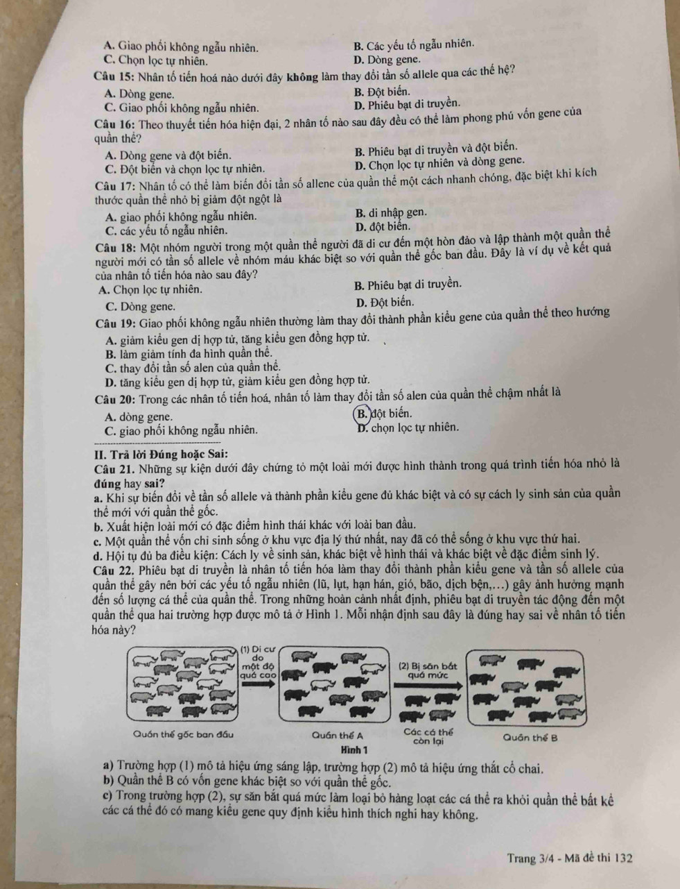 A. Giao phối không ngẫu nhiên. B. Các yếu tố ngẫu nhiên.
C. Chọn lọc tự nhiên. D. Dòng gene.
Câu 15: Nhân tố tiến hoá nào dưới đây không làm thay đổi tần số allele qua các thế hệ?
A. Dòng gene. B. Đột biển.
C. Giao phối không ngẫu nhiên. D. Phiêu bạt di truyền.
Câu 16: Theo thuyết tiến hóa hiện đại, 2 nhân tố nào sau đây đều có thể làm phong phú vốn gene của
quần thế?
A. Dòng gene và đột biến. B. Phiêu bạt di truyền và đột biến.
C. Đột biển và chọn lọc tự nhiên. D. Chọn lọc tự nhiên và dòng gene.
Câu 17: Nhân tố có thể làm biến đổi tần số allene của quần thể một cách nhanh chóng, đặc biệt khi kích
thước quần thể nhỏ bị giảm đột ngột là
A. giao phối không ngẫu nhiên. B. di nhập gen.
C. các yếu tố ngẫu nhiên. D. đột biển.
Câu 18: Một nhóm người trọng một quần thể người đã di cư đến một hòn đảo và lập thành một quần thể
người mới có tần số allele về nhóm máu khác biệt so với quần thể gốc ban đầu. Đây là ví dụ về kết quả
của nhân tố tiến hóa nào sau đây?
A. Chọn lọc tự nhiên. B. Phiêu bạt di truyền.
C. Dòng gene. D. Đột biển.
Câu 19: Giao phối không ngẫu nhiên thường làm thay đổi thành phần kiều gene của quần thể theo hướng
A. giảm kiểu gen dị hợp tử, tăng kiều gen đồng hợp tử.
B. làm giảm tính đa hình quân thế.
C. thay đổi tần số alen của quần thể.
D. tăng kiểu gen dị hợp tử, giảm kiểu gen đồng hợp tử.
Câu 20: Trong các nhân tố tiến hoá, nhân tố làm thay đổi tần số alen của quần thể chậm nhất là
A. dòng gene. B. đột biển.
C. giao phối không ngẫu nhiên. D. chọn lọc tự nhiên.
II. Trả lời Đúng hoặc Sai:
Câu 21. Những sự kiện dưới đây chứng tỏ một loài mới được hình thành trong quá trình tiến hóa nhỏ là
đúng hay sai?
a. Khi sự biến đồi về tần số allele và thành phần kiểu gene đủ khác biệt và có sự cách ly sinh sản của quần
thể mới với quần thể gốc.
b. Xuất hiện loài mới có đặc điểm hình thái khác với loài ban đầu.
c. Một quần thể vốn chi sinh sống ở khu vực địa lý thứ nhất, nay đã có thể sống ở khu vực thứ hai.
d. Hội tụ đủ ba điều kiện: Cách ly về sinh sản, khác biệt về hình thái và khác biệt về đặc điểm sinh lý.
Câu 22. Phiêu bạt di truyền là nhân tố tiến hóa làm thay đổi thành phần kiểu gene và tần số allele của
quần thể gây nên bởi các yếu tố ngẫu nhiên (lũ, lụt, hạn hán, gió, bão, dịch bện,...) gây ảnh hưởng mạnh
đến số lượng cá thể của quần thể. Trong những hoàn cảnh nhất định, phiêu bạt di truyền tác động đến một
quần thể qua hai trường hợp được mô tả ở Hình 1. Mỗi nhận định sau đây là đúng hay sai về nhân tố tiến
hóa này?
a) Trường hợp (1) mô tả hiệu ứng sáng lập, trường hợp (2) mô tả hiệu ứng thắt cổ chai.
b) Quần thể B có vốn gene khác biệt so với quần thể gốc.
c) Trong trường hợp (2), sự săn bắt quá mức làm loại bỏ hàng loạt các cá thể ra khỏi quần thể bất kể
các cá thể đó có mang kiều gene quy định kiểu hình thích nghi hay không.
Trang 3/4 - Mã đề thi 132