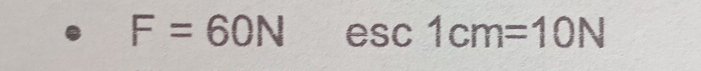 F=60N esc 1cm=10N