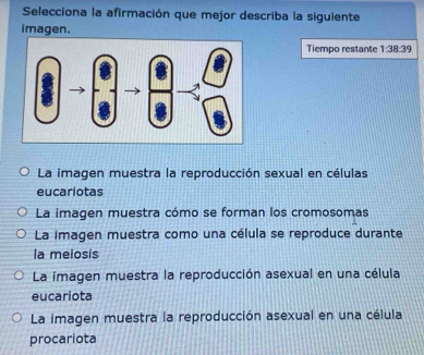 Selecciona la afirmación que mejor describa la siguiente
imagen.
Tiempo restante 1:38:39
La imagen muestra la reproducción sexual en células
eucariotas
La imagen muestra cómo se forman los cromosomas
La imagen muestra como una célula se reproduce durante
la meiosis
La imagen muestra la reproducción asexual en una célula
eucariota
La imagen muestra la reproducción asexual en una célula
procariota