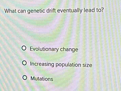 What can genetic drift eventually lead to?
Evolutionary change
Increasing population size
Mutations