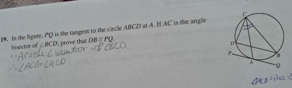 In the figure, PQ is the tangent to the circle ABCD at A. If AC is the angle 
bisector of ∠ BCD , prove that DBparallel PQ.