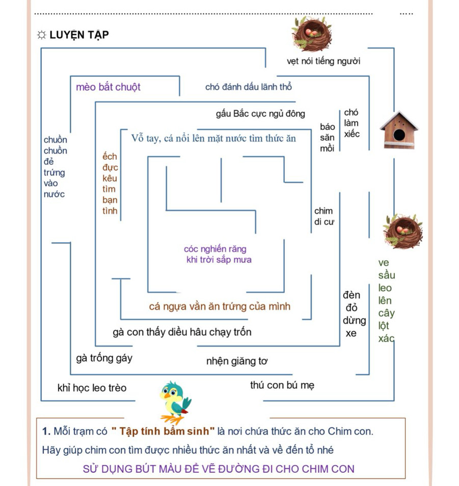 Hãy giúp chim con tìm được nhiều thức ăn nhất và về đến tổ nhé 
Sử DỤNG BÚT MÀU ĐÊ VÊ ĐƯỜNG ĐI CHO CHIM CON