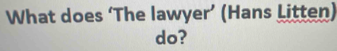 What does ‘The lawyer’ (Hans Litten) 
do?