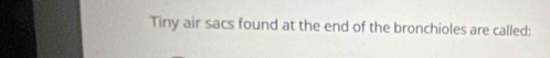 Tiny air sacs found at the end of the bronchioles are called: