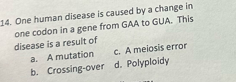 One human disease is caused by a change in
one codon in a gene from GAA to GUA. This
disease is a result of
a. A mutation c. A meiosis error
b. Crossing-over d. Polyploidy