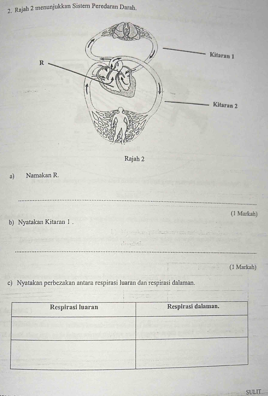 Rajah 2 menunjukkan Sistem Peredaran Darah. 
Rajah 2 
a) Namakan R. 
_ 
(1 Markah) 
b) Nyatakan Kitaran 1. 
_ 
(1 Markah) 
c) Nyatakan perbezakan antara respirasi luaran dan respirasi dalaman. 
SULIT