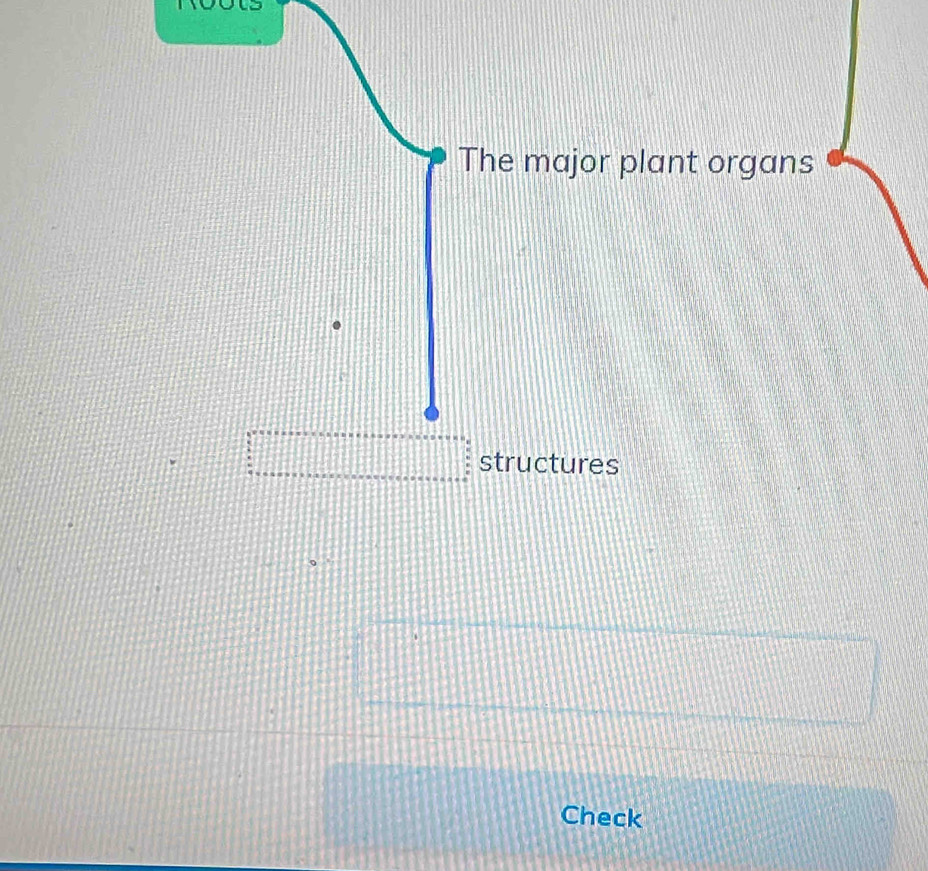 The major plant organs
::...+.... structures 
Check