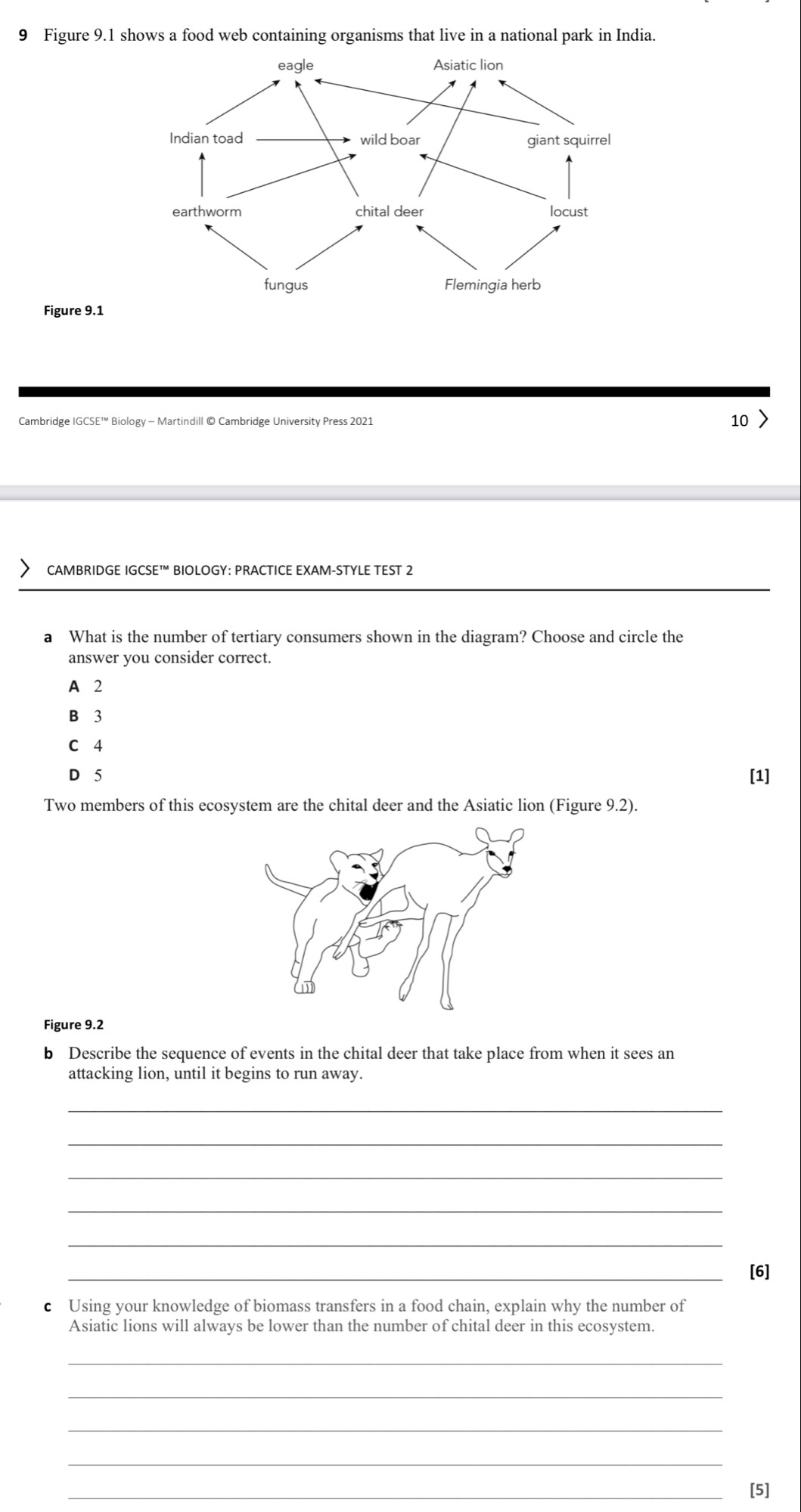 Figure 9.1 shows a food web containing organisms that live in a national park in India.
Figure 9.1
Cambridge IGCSE™ Biology - Martindill © Cambridge University Press 2021 10
CAMBRIDGE IGCSE™ BIOLOGY: PRACTICE EXAM-STYLE TEST 2
a What is the number of tertiary consumers shown in the diagram? Choose and circle the
answer you consider correct.
A 2
B 3
C 4
D 5 [1]
Two members of this ecosystem are the chital deer and the Asiatic lion (Figure 9.2).
Figure 9.2
b Describe the sequence of events in the chital deer that take place from when it sees an
attacking lion, until it begins to run away.
_
_
_
_
_
_[6]
c Using your knowledge of biomass transfers in a food chain, explain why the number of
Asiatic lions will always be lower than the number of chital deer in this ecosystem.
_
_
_
_
_[5]