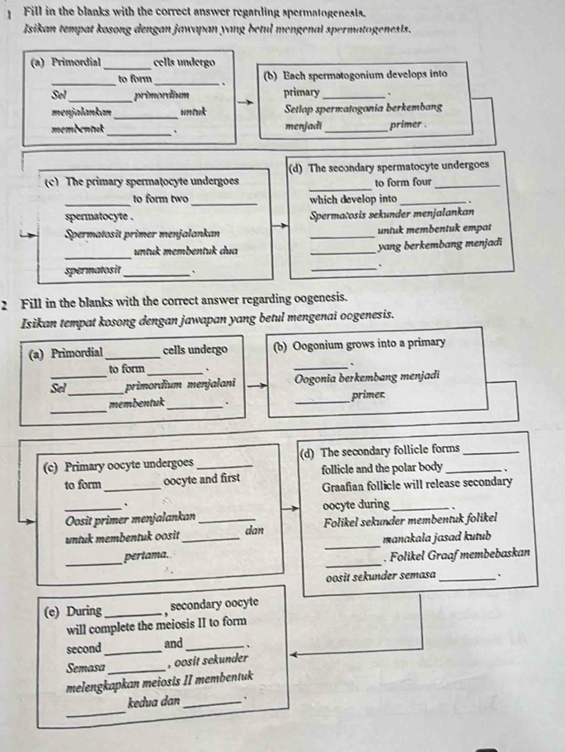 Fill in the blanks with the correct answer regarding spermatogenests.
Isikan tempat kosong dengan jawapan yang betul mengenal spermatogenesIs.
(a) Primordial_ cells undergo
_to form_ 、 (b) Each spermatogonium develops into
_
Sel primordium primary_ 、
menjałankan _vortook Setlap spermatogonia berkembang
membentuk_ . menjadi_ primer .
(d) The secondary spermatocyte undergoes
_
(c) The primary spermatocyte undergoes to form four_
_to form two_ which develop into _.
spermatocyte . Spermatosis sekunder menjalankan
Spermatosit primer menjalankan _untuk membentuk empat
_
untuk membentuk dua _yang berkembang menjadi
spermatosit_
、
_
2 Fill in the blanks with the correct answer regarding oogenesis.
Isikan tempat kosong dengan jawapan yang betul mengenai oogenesis.
(a) Primordial_ cells undergo (b) Oogonium grows into a primary
to form_ 、
_.
_
_Sel primorđium menjalani Oogonia berkembang menjadi
_
membentuk_ 、 _primer.
(c) Primary oocyte undergoes _(d) The secondary follicle forms
to form_ oocyte and first follicle and the polar body 、
Graafian follicle will release secondary
.
_Oosit primer menjalankan oocyte during _、
_
untuk membentuk oosit_ _dan Folikel sekunder membentuk folikel
manakala jasad kutub
_
_
perlama.
. Folikel Graafmembebaskan
oosit sekunder semasa_ 、
(e) During_ secondary oocyte
will complete the meiosis II to form
second _and_ .
Semasa _, oosit sekunder
melengkapkan meiosis II membentuk
_
kedua dan _.