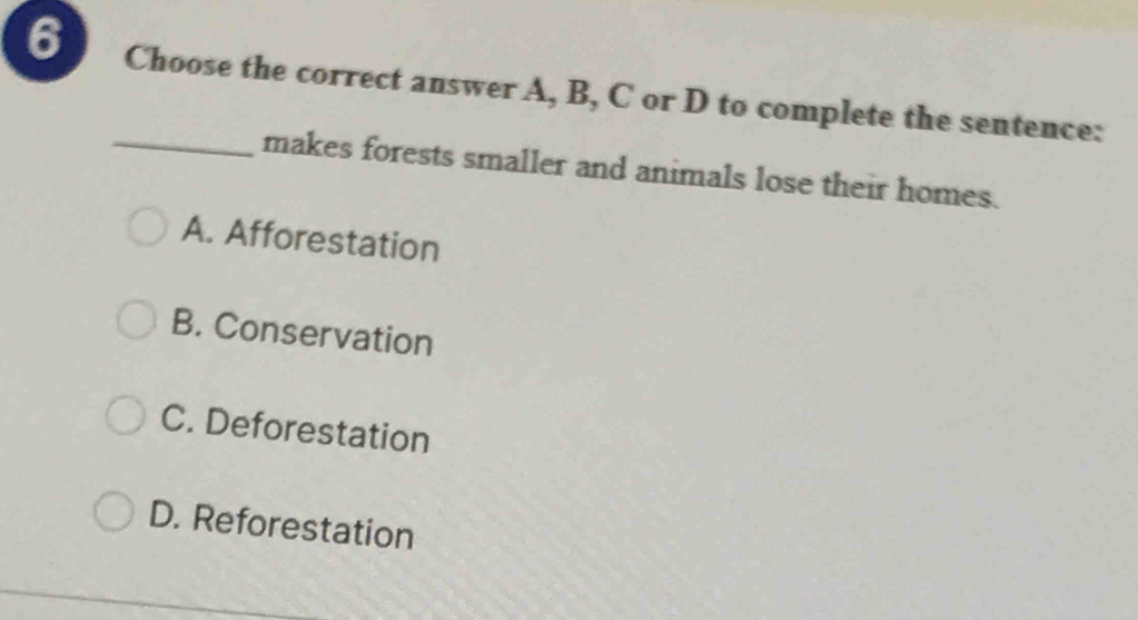 Choose the correct answer A, B, C or D to complete the sentence:
_makes forests smaller and animals lose their homes.
A. Afforestation
B. Conservation
C. Deforestation
D. Reforestation