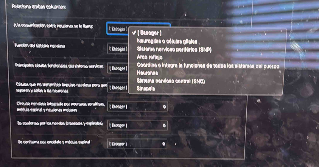 Relaciona ambas columnas:
A la comunicación entre neuronas se le llama: ( Escoger ) √ ( Escoger)
Neuroglias o células gliales 
Función del sistema nervioso ( Escoger ) Sistema nervioso periférico (SNP)
Arco reflejo
Principales células funcionales del sistema nervioso ( Escoger ) Neuronas Coordina e integra la funciones de todos los sistemas del cuerpo
Sistema nervioso central (SNC)
Células que no transmiten impulso nervioso pero que (Escoger )
separan y alslas a las neuronas Sinapsis
Circulto nervioso integrado por neuronas sensitivas, ( Escoger) .
médula espinal y neuronas motoras
Se conforma por los nervios (craneales y espinales) ( Escoger ) .
Se conforma por encéfalo y médula espinal ( Escoger ) .