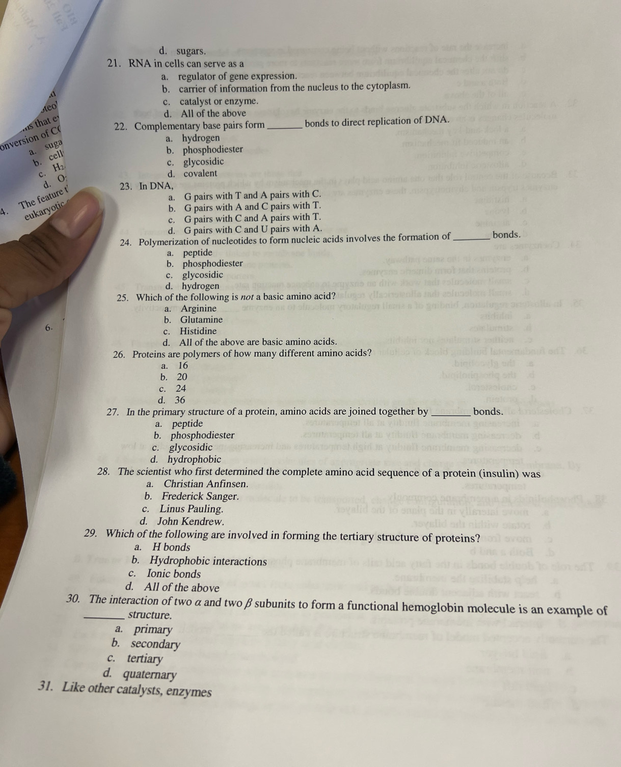 d. sugars.
21. RNA in cells can serve as a
a. regulator of gene expression.
b. carrier of information from the nucleus to the cytoplasm.
.a
Steo'
c. catalyst or enzyme.
22. Complementary base pairs form _bonds to direct replication of DNA.
onversion of C s that
d. All of the above
a. suga
a. hydrogen
b. cell
b. phosphodiester
c. H₂
c. glycosidic
d. O
d. covalent
a. G pairs with T and A pairs with C.
4. The feature t 23. In DNA,
eukaryotic
b. G pairs with A and C pairs with T.
c. G pairs with C and A pairs with T.
d. G pairs with C and U pairs with A.
24. Polymerization of nucleotides to form nucleic acids involves the formation of_ bonds.
a. peptide
b. phosphodiester
c. glycosidic
d. hydrogen
25. Which of the following is not a basic amino acid?
a. Arginine
b. Glutamine
6.
c. Histidine
d. All of the above are basic amino acids.
26. Proteins are polymers of how many different amino acids?
a. 16
b. 20
c. 24
d. 36
27. In the primary structure of a protein, amino acids are joined together by _bonds.
a. peptide
b. phosphodiester
c. glycosidic
d. hydrophobic
28. The scientist who first determined the complete amino acid sequence of a protein (insulin) was
a. Christian Anfinsen.
b. Frederick Sanger.
c. Linus Pauling.
d. John Kendrew.
29. Which of the following are involved in forming the tertiary structure of proteins?
a. H bonds
b. Hydrophobic interactions
c. Ionic bonds
d. All of the above
30. The interaction of two α and two βsubunits to form a functional hemoglobin molecule is an example of
_structure.
a. primary
b. secondary
c. tertiary
d. quaternary
31. Like other catalysts, enzymes