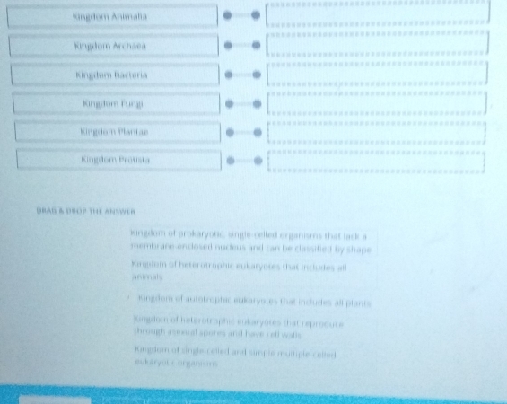 Kingdom Animalia
Kingdom Archaea
Kingdom Bactoria
Kingdom Fungi
Kingdom Plantae
Kingdom Protista
DRAG & DROP THE ANSWER
kingdom of prokaryotic, single-celled organisms that lack a
membrane-enclosed nucteus and can be classified by shape
King dom of heterotrophic eukaryoses that includes all
animals
iingdom of autotrophic eukaryotes that includes all plants
ingdom of heterotrophic eukaryotes that reprodute
through asexual spores and have cell wall
Kingdom of single-celled and simple muthiple-celled
eukaryotc organions