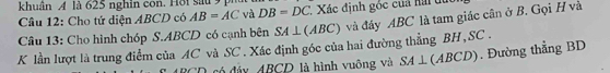 khuân A là 625 nghin con. Hội sau 9 p 
Câu 12: Cho tứ diện ABCD có AB=AC và DB=DC. Xác định góc của hài dú 
Câu 13: Cho hình chóp S. ABCD có cạnh bên SA⊥ (ABC) và đáy ABC là tam giác cân ở B. Gọi H và 
K lần lượt là trung điểm của AC và SC. Xác định góc của hai đường thẳng BH, SC.
RCD có đáy, ABCD là hình vuông và SA⊥ (ABCD). Đường thẳng BD