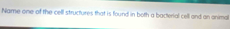 Name one of the cell structures that is found in both a bacterial cell and an animal