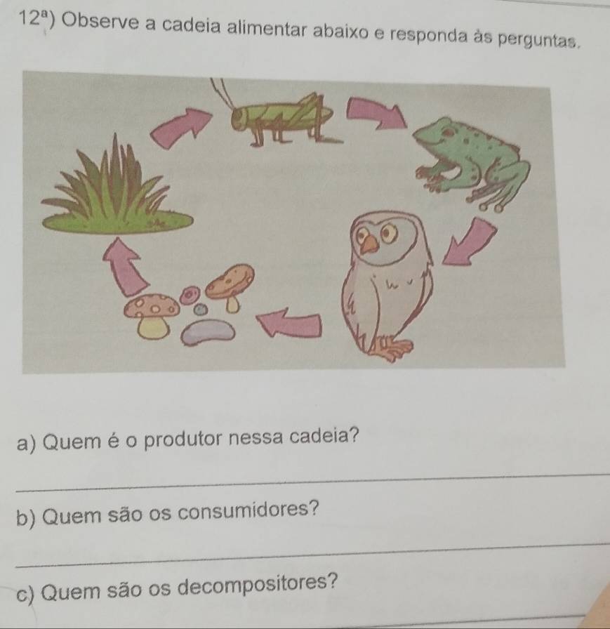 12^a) Observe a cadeia alimentar abaixo e responda às perguntas. 
a) Quem é o produtor nessa cadeia? 
_ 
b) Quem são os consumidores? 
_ 
_ 
c) Quem são os decompositores?