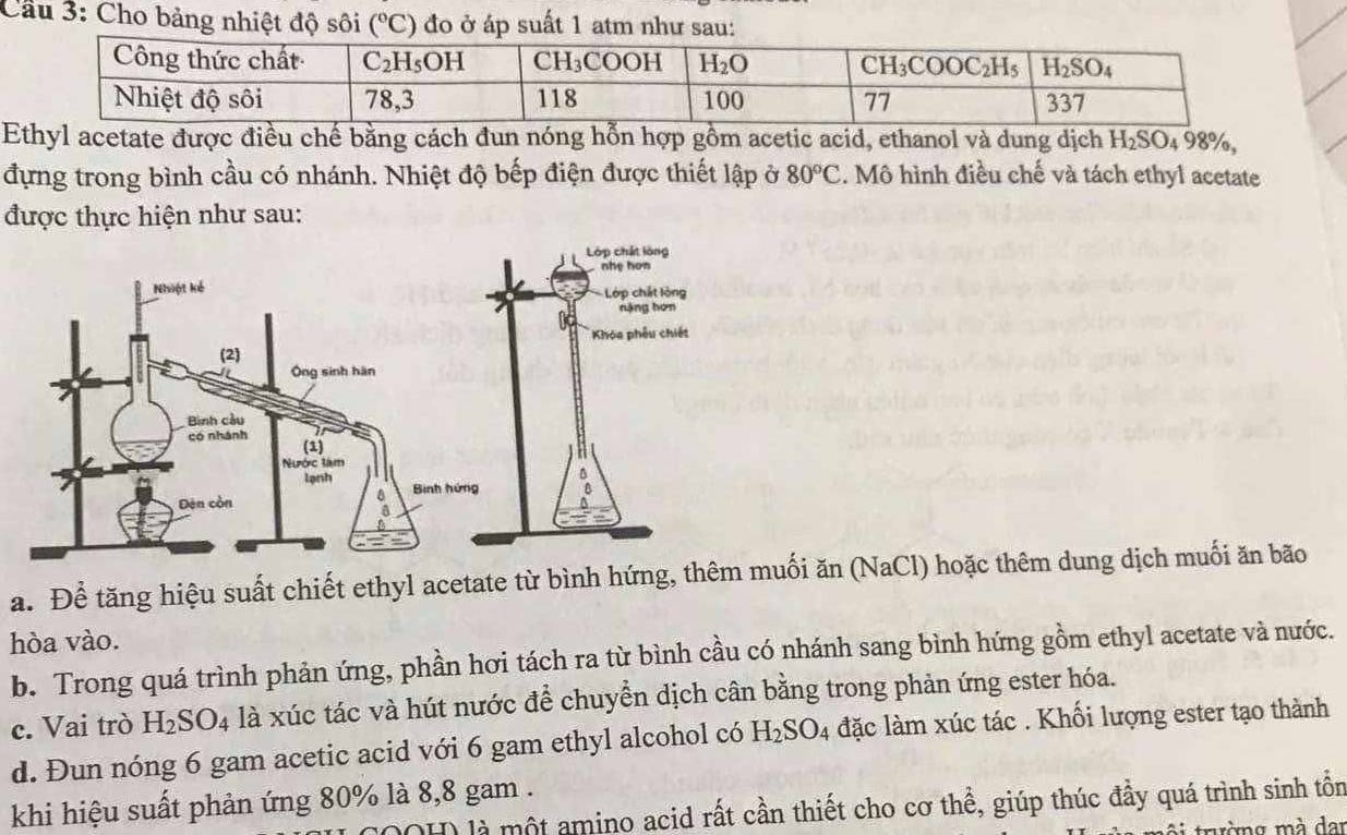 Cầu 3: Cho bảng nhiệt độ sôi (^circ C) đo ở áp suất 1 atm như sau:
Ethyl acetate được điều chế bằng cách đun nóng hỗn hợp gồm acetic acid, ethanol và dung dịch H_2SO_498% ,
đựng trong bình cầu có nhánh. Nhiệt độ bếp điện được thiết lập ở 80°C. Mô hình điều chế và tách ethyl acetate
được thực hiện như sau:
a. Để tăng hiệu suất chiết ethyl acetate từ bình hứng, thêm muối ăn (NaCl) hoặc thêm dung dịch muối ăn bão
hòa vào.
b. Trong quá trình phản ứng, phần hơi tách ra từ bình cầu có nhánh sang bình hứng gồm ethyl acetate và nước.
c. Vai trò H_2SO_4 là xúc tác và hút nước để chuyển dịch cân bằng trong phản ứng ester hóa.
d. Đun nóng 6 gam acetic acid với 6 gam ethyl alcohol có H_2SO_4 đặc làm xúc tác . Khối lượng ester tạo thành
khi hiệu suất phản ứng 80% là 8,8 gam .
(OH) là một amino acid rất cần thiết cho cơ thể, giúp thúc đầy quá trình sinh tồn
trường mà dai