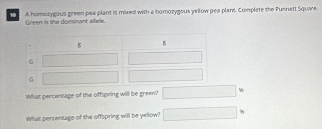 A homozygous green pea plant is mixed with a homozygous yellow pea plant. Complete the Punnett Square.
Green is the dominant allele.
What percentage of the offspring will be green? □ %
What percentage of the offspring will be yellow? □ %