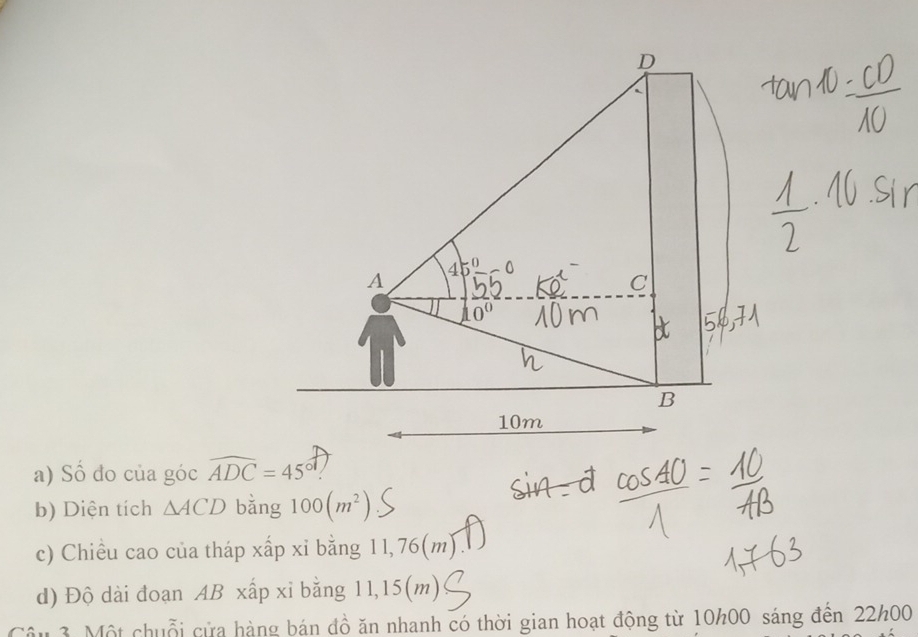 45°
A 
C
10°
B
10m
a) Số đo của góc widehat ADC=45°
b) Diện tích △ ACD bằng 100(m^2)
c) Chiều cao của tháp xấp xỉ bằng 11, 76(m)
d) Độ dài đoạn AB xấp xỉ bằng 11,15(m) 
Câu 3. Một chuỗi cửa hàng bán đồ ăn nhanh có thời gian hoạt động từ 10h00 sáng đến 22h00